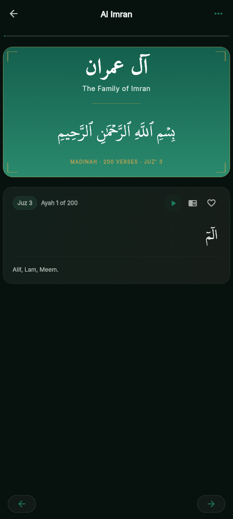 Audio downloads screen showing offline surahs