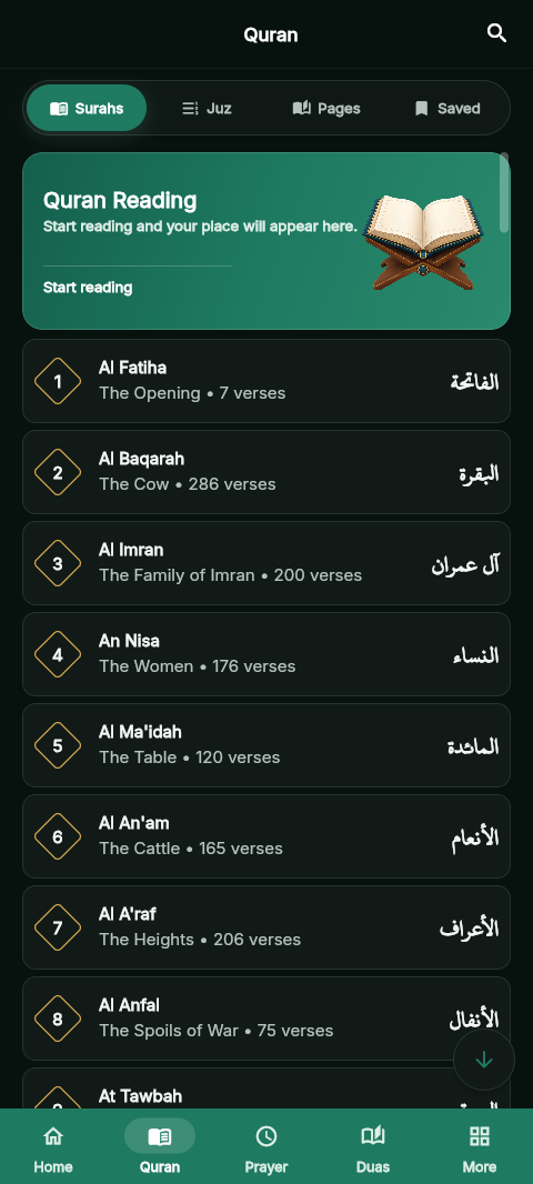 Quran reading screen with translation